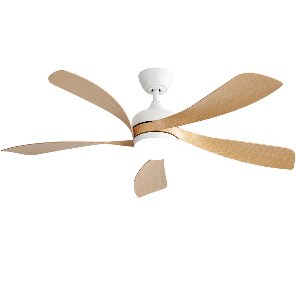 Damecia 52'' Modern Ceiling Fan with LED Light and Remote Control